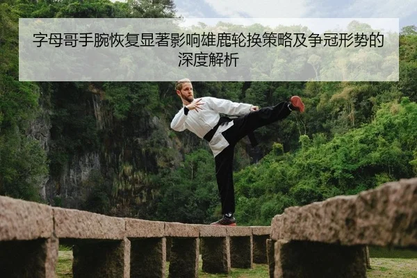 zi-mu-ge-shou-wan-hui-fu-xian-zhu-ying-xiang-xiong-lu-lun-huan-ce-lve-ji-zheng-guan-xing-shi-de-shen-du-jie-xi-2-328.jpg